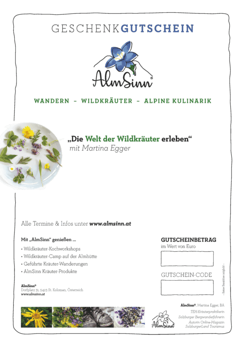 AlmSinn-Gutschein für Kurzentschlossene (PDF zum Download)